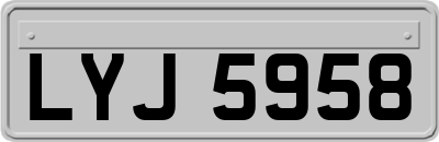 LYJ5958