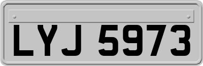 LYJ5973