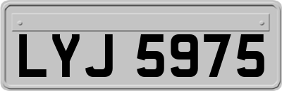 LYJ5975