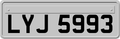 LYJ5993