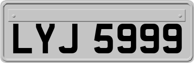 LYJ5999