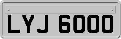 LYJ6000