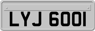 LYJ6001