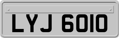 LYJ6010