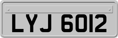 LYJ6012
