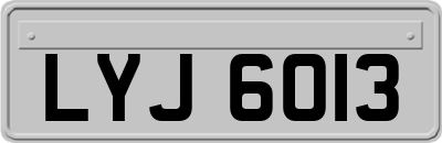 LYJ6013
