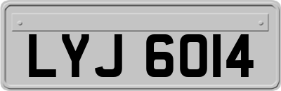 LYJ6014