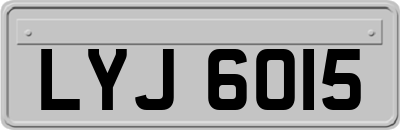 LYJ6015