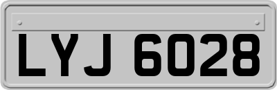 LYJ6028