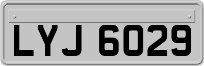 LYJ6029
