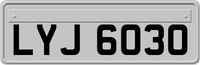 LYJ6030