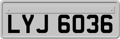 LYJ6036