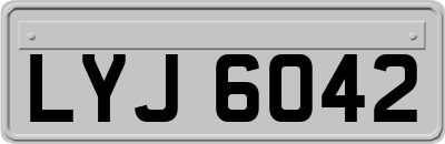 LYJ6042