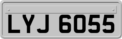 LYJ6055