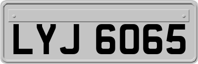 LYJ6065