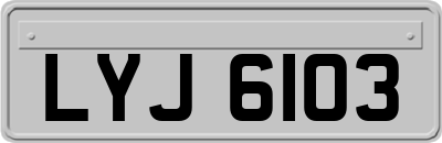 LYJ6103