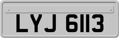 LYJ6113