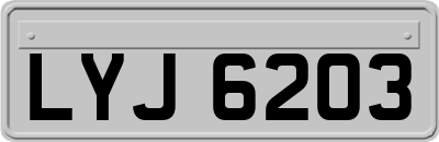 LYJ6203