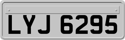 LYJ6295