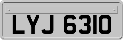 LYJ6310