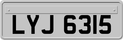 LYJ6315