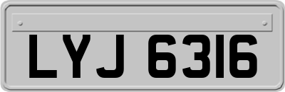 LYJ6316