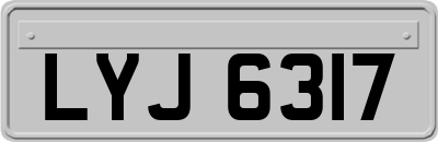 LYJ6317