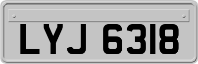 LYJ6318