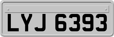 LYJ6393