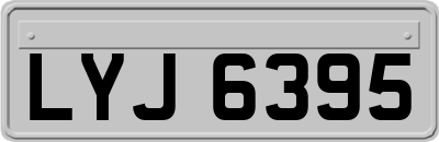 LYJ6395