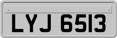 LYJ6513