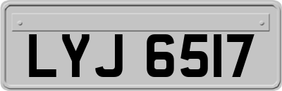 LYJ6517