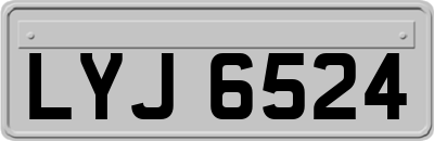 LYJ6524