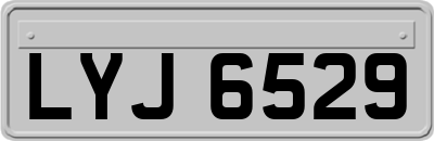 LYJ6529