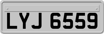 LYJ6559