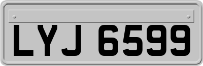 LYJ6599