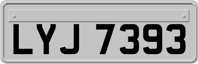 LYJ7393