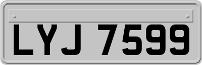 LYJ7599