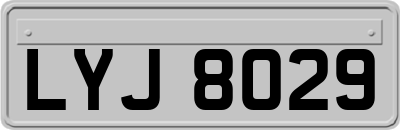LYJ8029