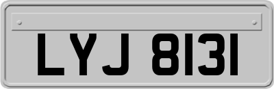 LYJ8131