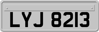 LYJ8213