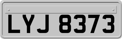 LYJ8373