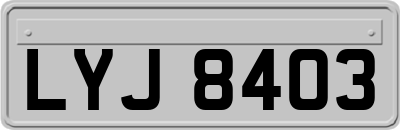 LYJ8403