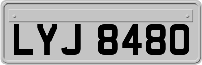 LYJ8480