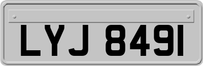 LYJ8491