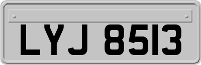 LYJ8513