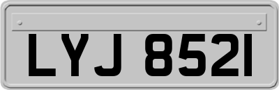 LYJ8521
