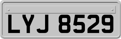 LYJ8529