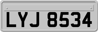 LYJ8534