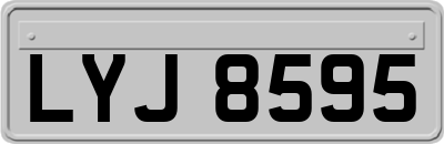 LYJ8595